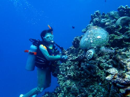 サイパン ダイビング