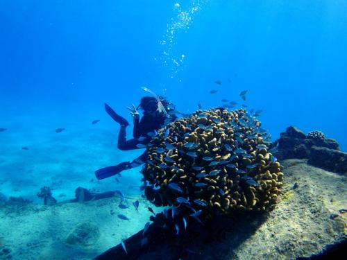 サイパン 体験ダイビング