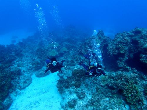 サイパン グロットシュノーケル