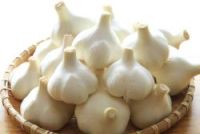 田子町 にんにく