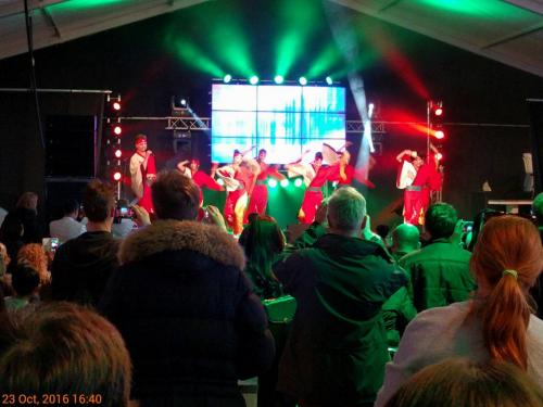 ジャパン フェスティバル 2016