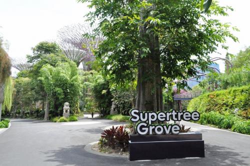 スーパーツリーグローブ