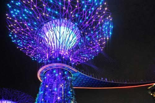 スカイウォーク