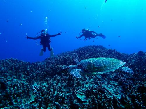 サイパン 島内観光
