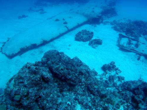 サイパン ダイビング