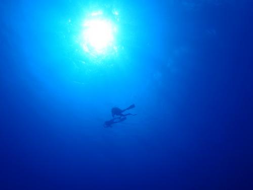 サイパン ダイビングライセンス