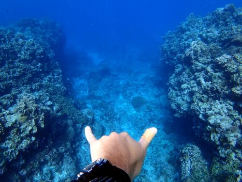 サイパン 体験ダイビング