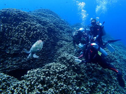 サイパン ダイビングライセンス