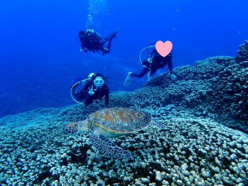 サイパン 体験ダイビング