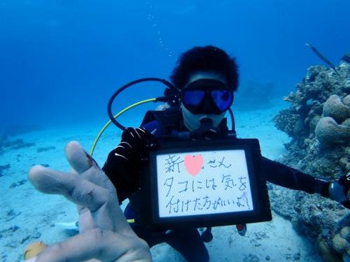 サイパン ダイビングライセンス