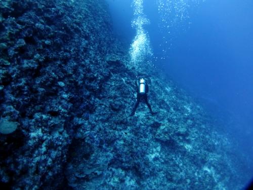 サイパン ダイビングライセンス