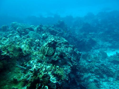 サイパン 島内観光