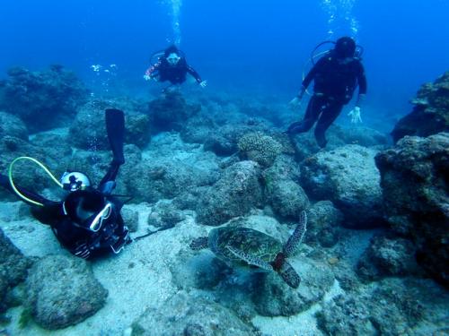 サイパン グロットシュノーケル