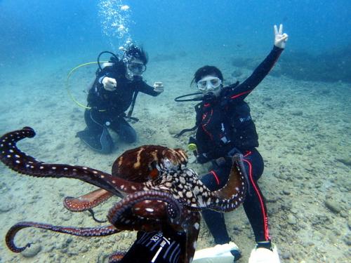 サイパン ダイビングライセンス