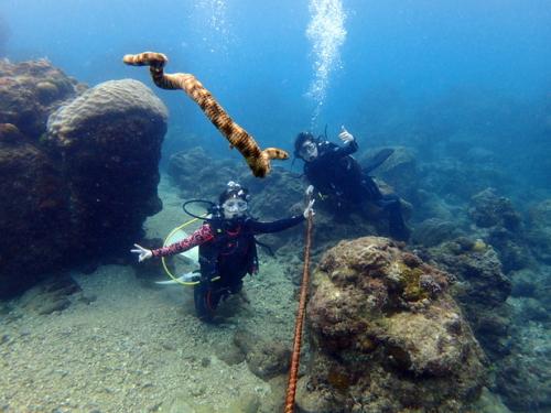 サイパン 島内観光