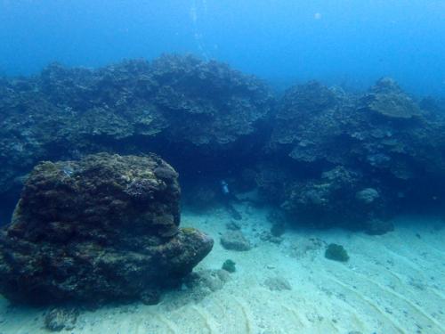 サイパン 体験ダイビング