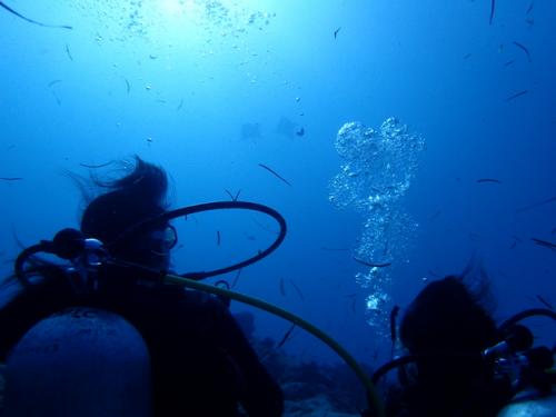 サイパン ダイビング