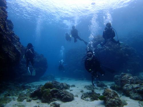 サイパン ダイビングライセンス