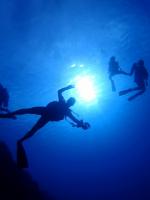 サイパン　ダイビングライセンス