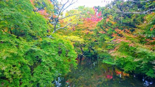 2016.11.9亀の井別荘1