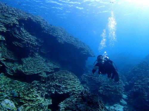 サイパンダイビング