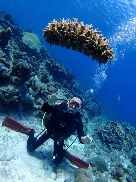 サイパン島内観光