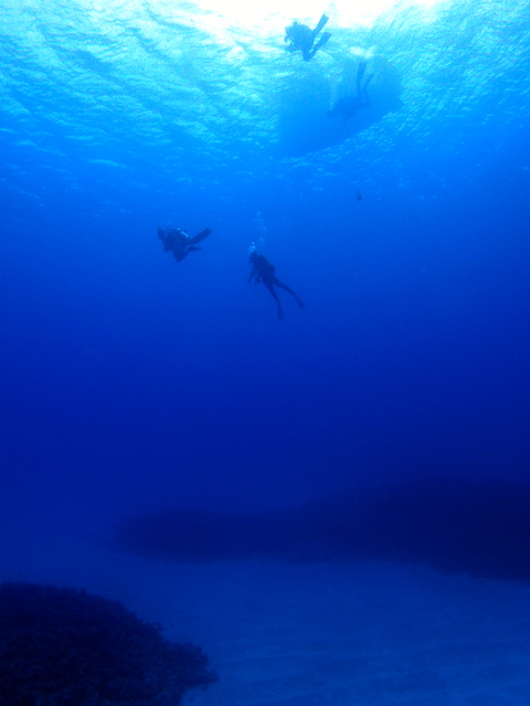 サイパンダイビングライセンス