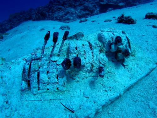 マニャガハ島体験ダイビング