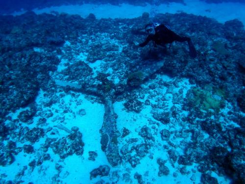 サイパングロットシュノーケル