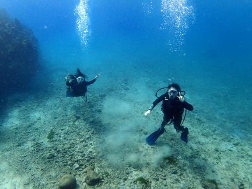 マニャガハ島体験ダイビング