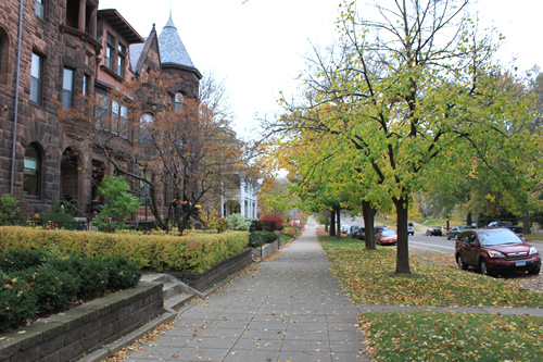 並木の美しいサミット通り