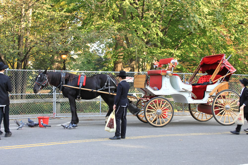 セントラルパーク前の馬車