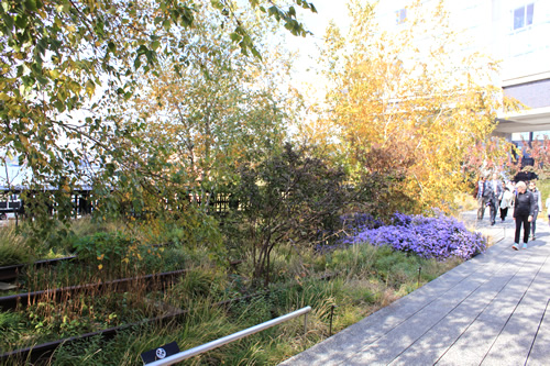 植えられた草木の間の古いレール