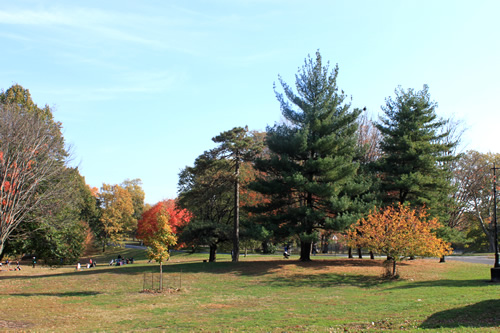 かなり広大な公園です