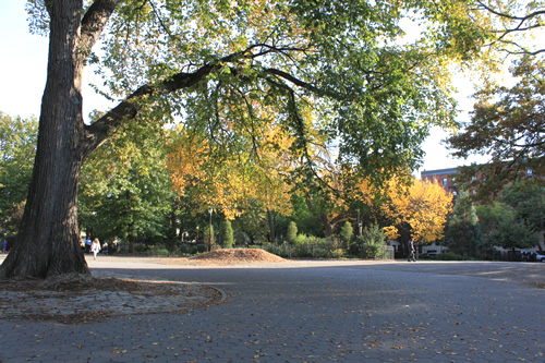 トンプキンス スクエア パークで食べます