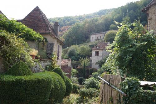 サンシレラポピー