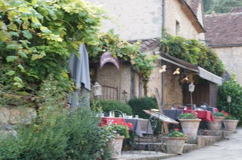 サンシレラポピー