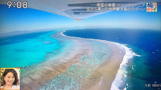 旅サラダ ニューカレドニア 前編 テレビ観ました トーホートラベルさんの旅行ブログ トラベルコ