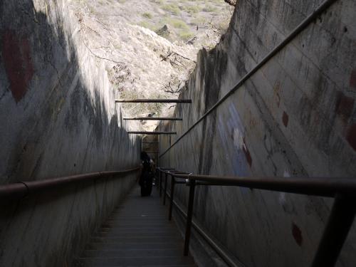 ダイヤモンドヘッド