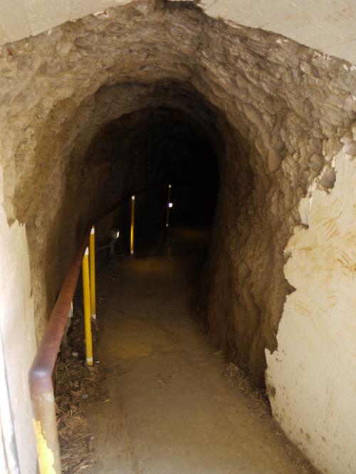 ダイヤモンドヘッド