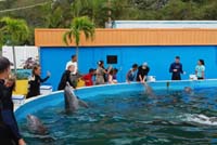 大統領ご一行写真2008