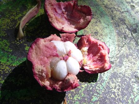 ナ・ムアンの滝 【サムイ島】