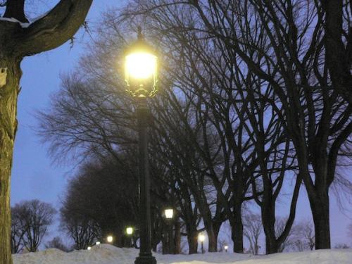 ジャンヌダルク庭園