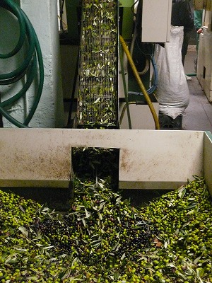 イタリア 女性ひとり旅