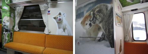 犬っこ列車 車内1