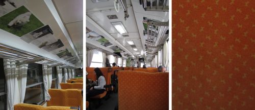 犬っこ列車 車内-4