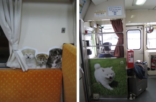 犬っこ列車 車内-7