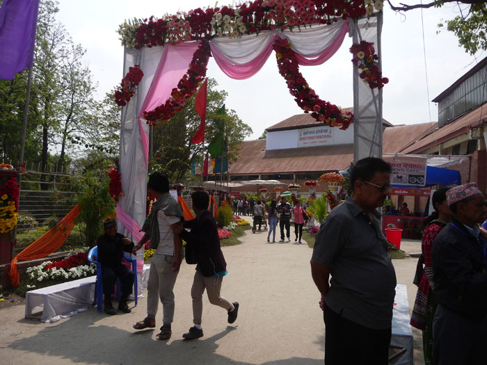 フラワーショー１