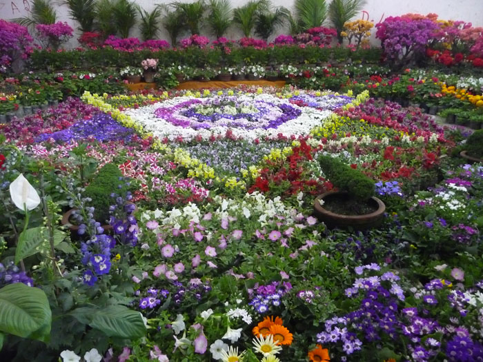 フラワーショー３