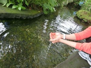 ガイドさんと巡る 六郷湧水群 で湧水み つけたっ 美郷めしもいただきますっ 青岩秋子さんの旅行ブログ トラベルコ